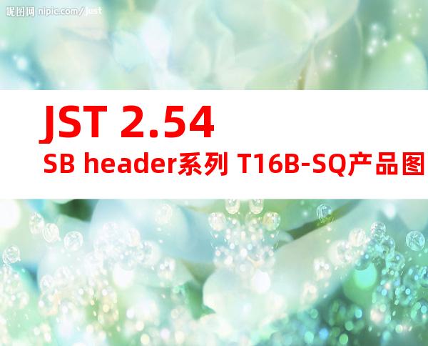 JST 2.54SB header系列 T16B-SQ产品图纸
